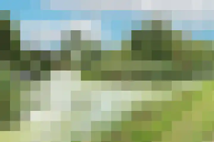Van Leeuwenhoekstraat 62 Ridderkerk thumbnail 5