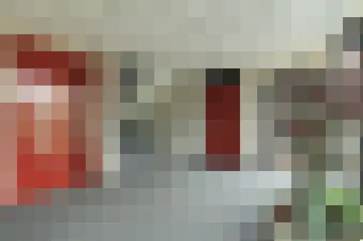 Van Leeuwenhoekstraat 62 Ridderkerk thumbnail 8