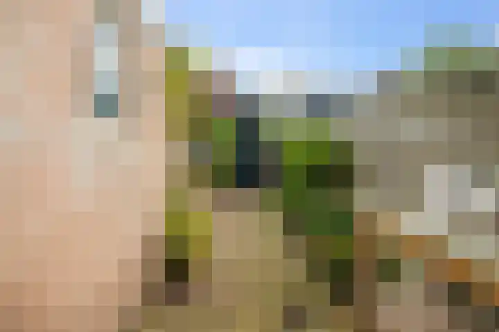 Van Leeuwenhoekstraat 7 Den Helder thumbnail 10