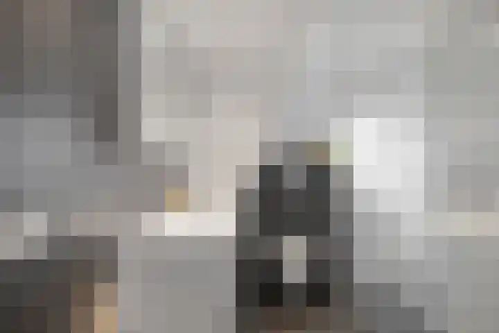Van Leeuwenhoekstraat 7 Den Helder thumbnail 18