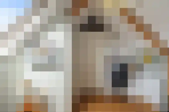 Van Leeuwenhoekstraat 7 Den Helder thumbnail 23