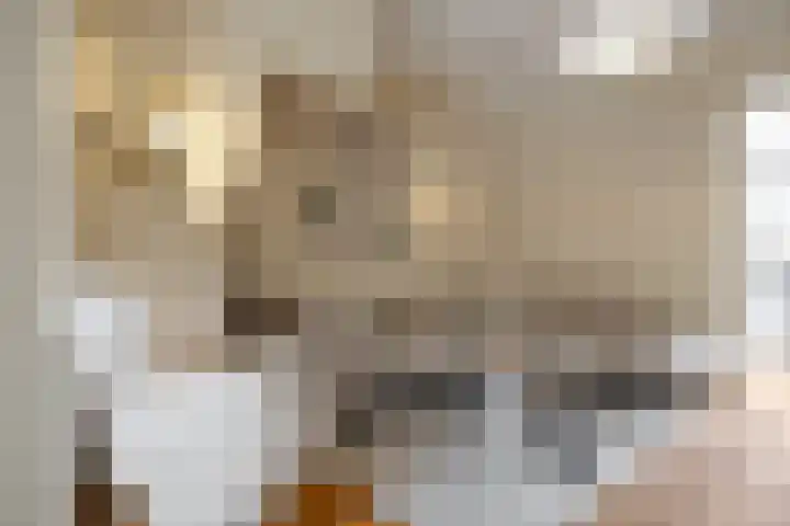 Van Leeuwenhoekstraat 7 Den Helder thumbnail 4