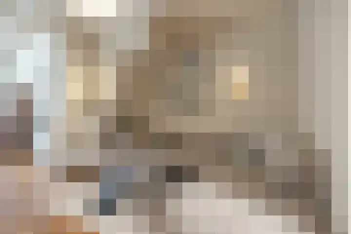 Van Leeuwenhoekstraat 7 Den Helder thumbnail 6