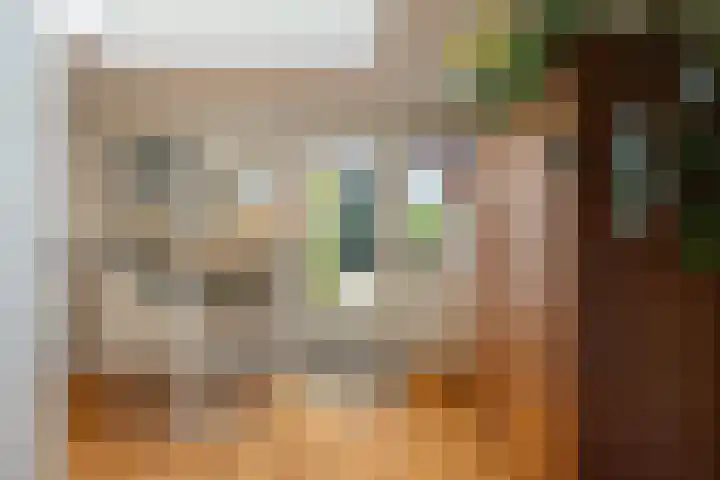 Van Leeuwenhoekstraat 7 Den Helder thumbnail 7