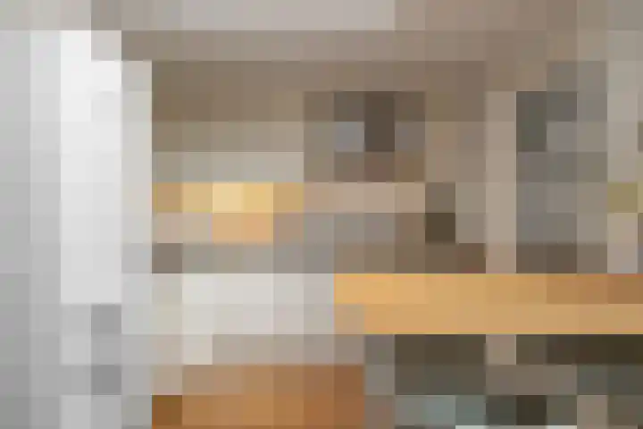Van Leeuwenhoekstraat 7 Den Helder thumbnail 8