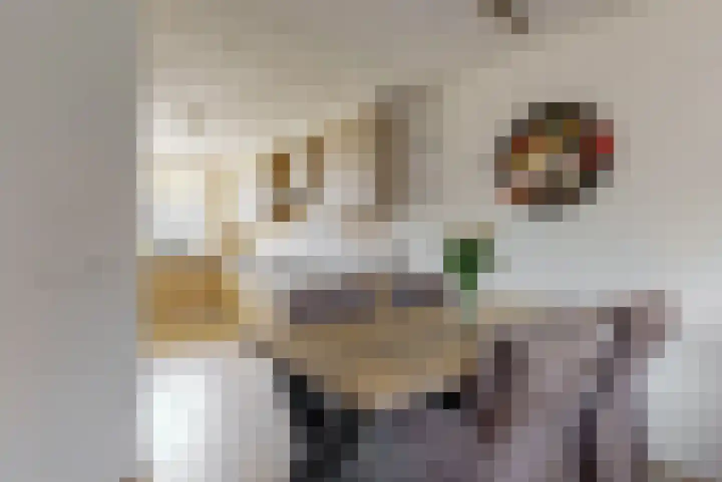 van Leeuwenhoekstraat 7 Kudelstaart thumbnail 15