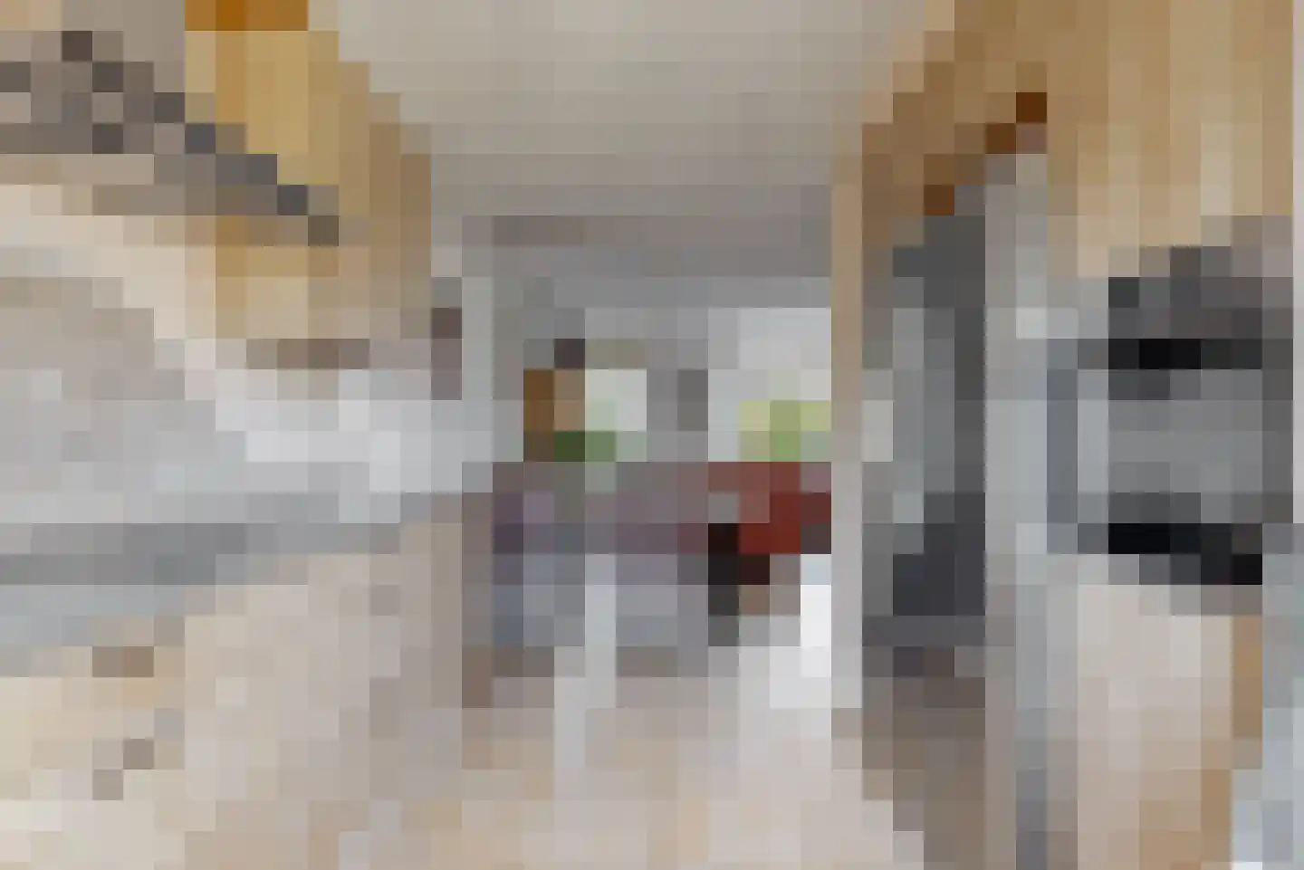 van Leeuwenhoekstraat 7 Kudelstaart thumbnail 17