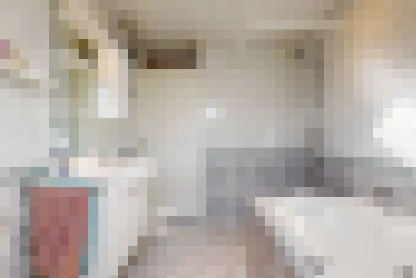van Leeuwenhoekstraat 7 Kudelstaart thumbnail 27
