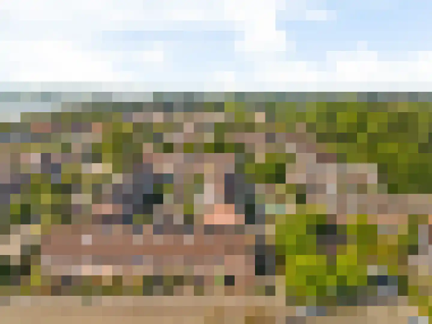 van Leeuwenhoekstraat 7 Kudelstaart thumbnail 37