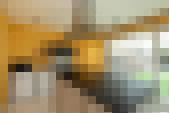 Van Leeuwenhoekstraat 72 Hilversum thumbnail 11