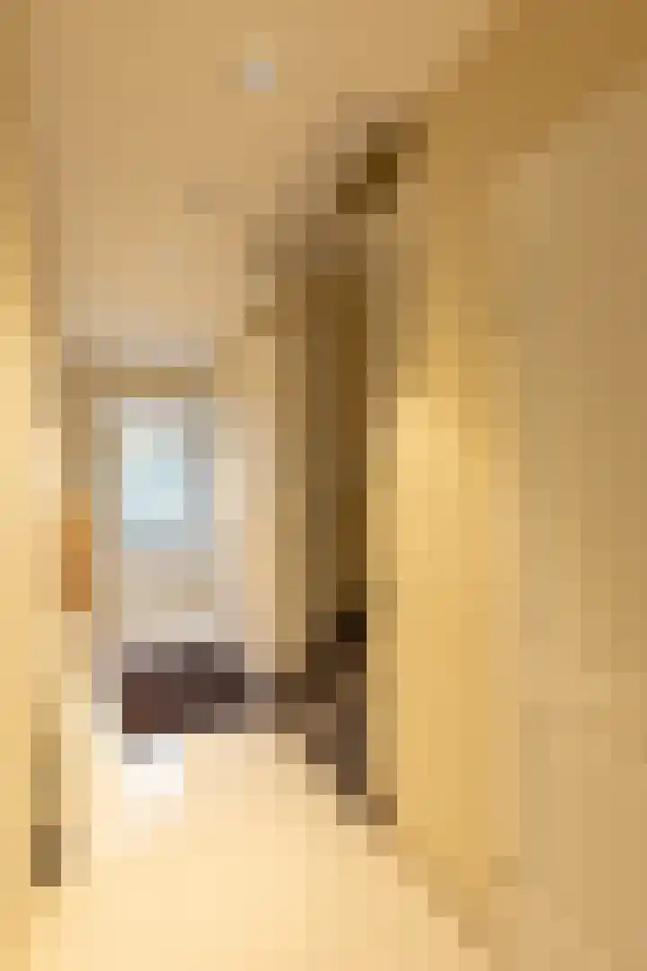 Van Leeuwenhoekstraat 72 Hilversum thumbnail 16
