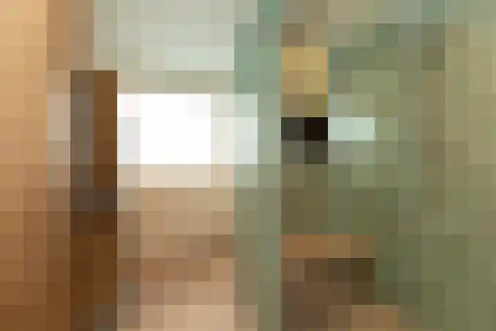 Van Leeuwenhoekstraat 72 Hilversum thumbnail 23