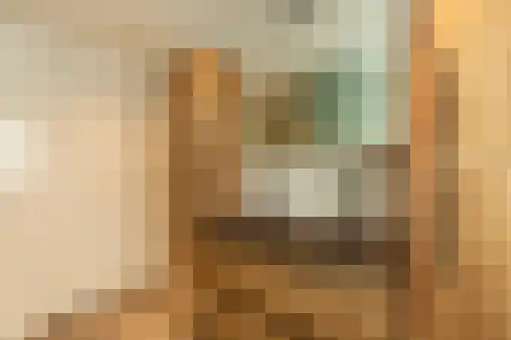 Van Leeuwenhoekstraat 72 Hilversum thumbnail 25
