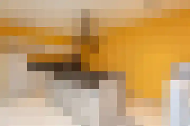 Van Leeuwenhoekstraat 72 Hilversum thumbnail 9