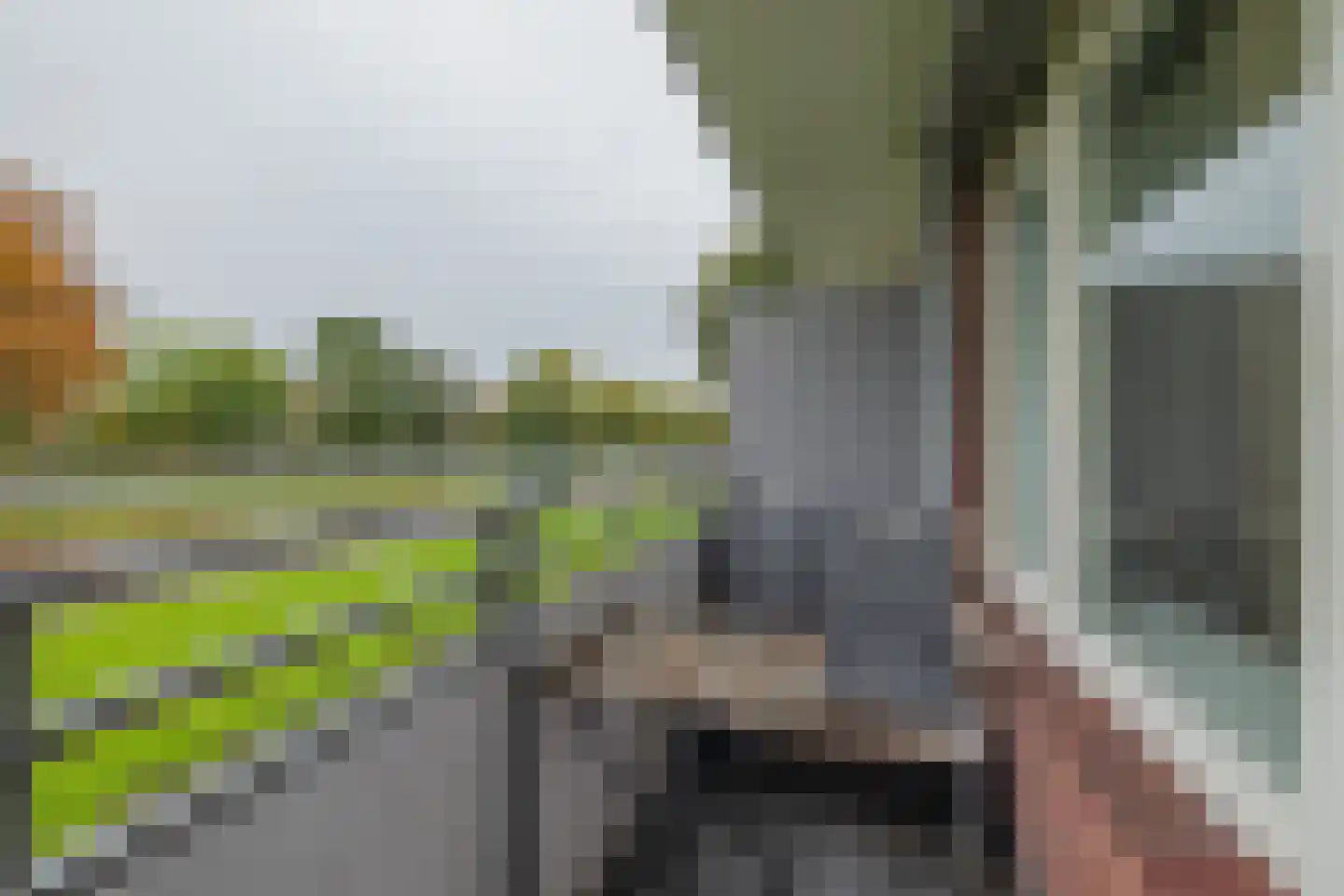 Van Leeuwenhoekstraat 8 Haarlem thumbnail 15