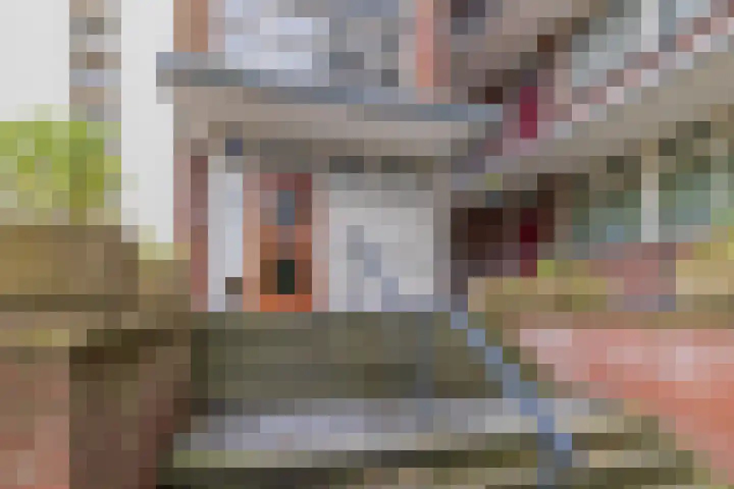 Van Leeuwenhoekstraat 8 Haarlem thumbnail 6
