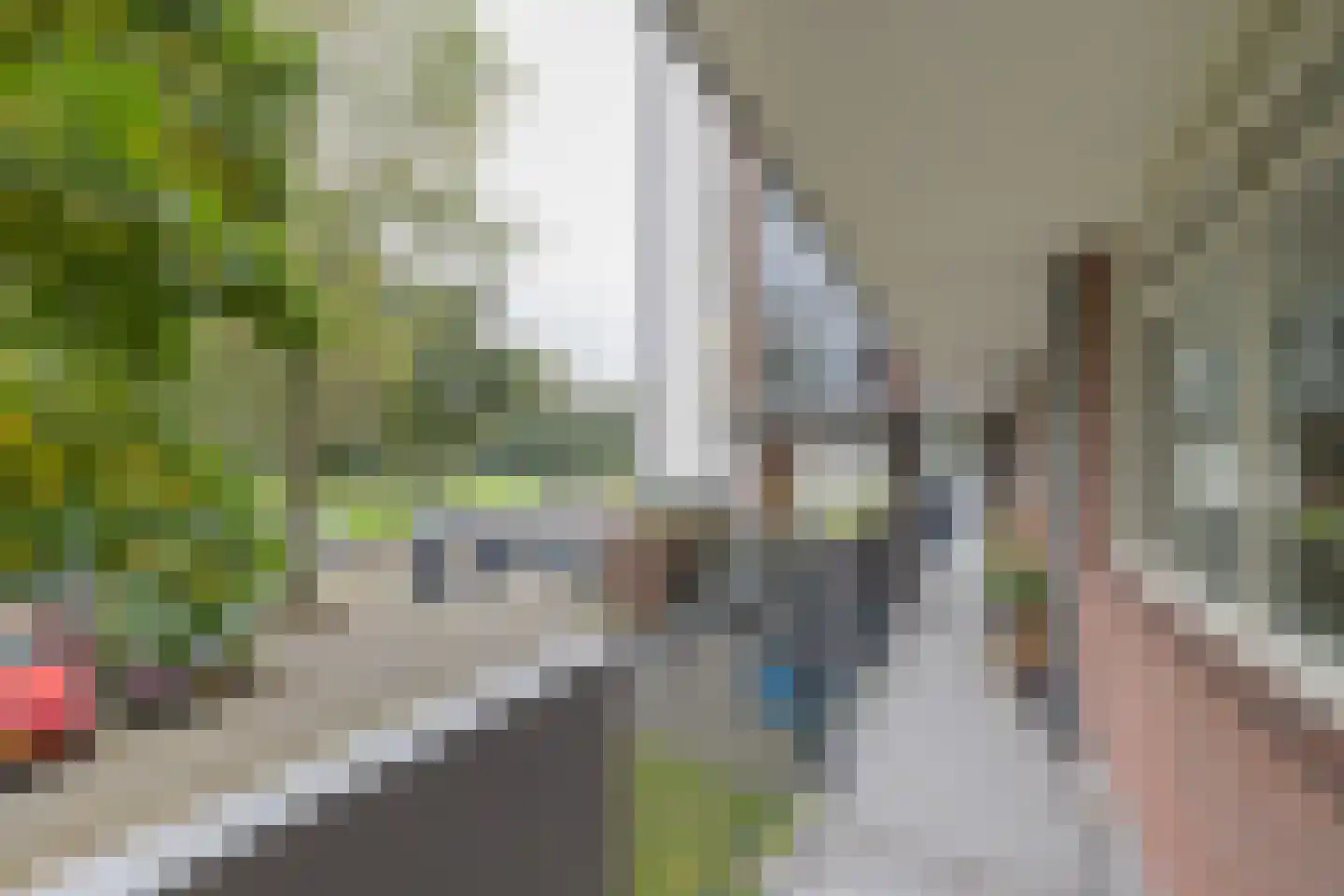 Van Leeuwenhoekstraat 8 Haarlem thumbnail 7