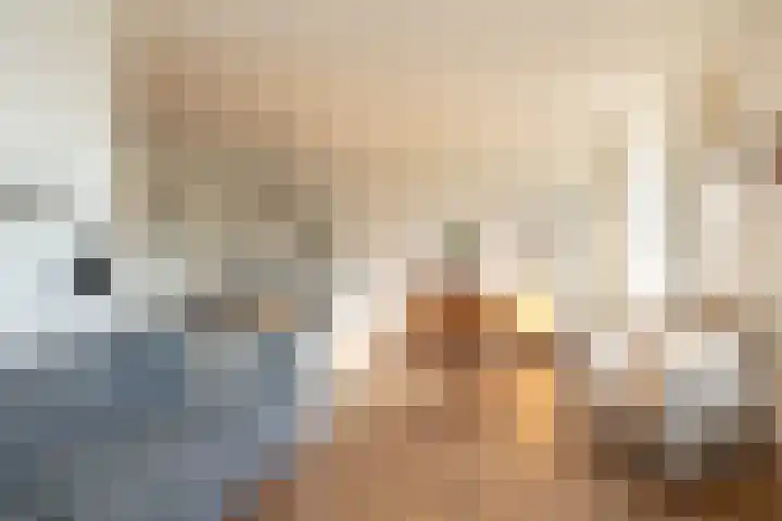 van Leeuwenhoekstraat 9 Hoogeveen thumbnail 12