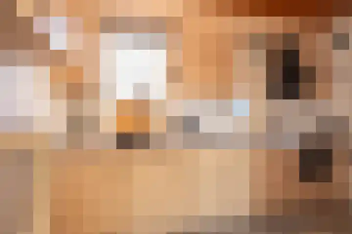 van Leeuwenhoekstraat 9 Hoogeveen thumbnail 15