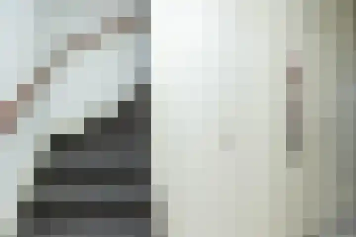 van Leeuwenhoekstraat 9 Hoogeveen thumbnail 22