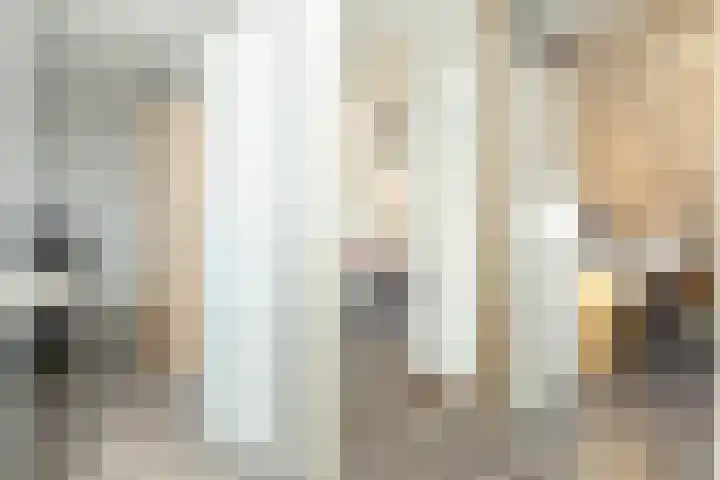 van Leeuwenhoekstraat 9 Hoogeveen thumbnail 23