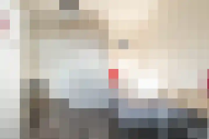 van Leeuwenhoekstraat 9 Hoogeveen thumbnail 27