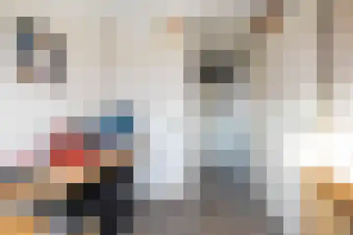van Leeuwenhoekstraat 9 Hoogeveen thumbnail 29