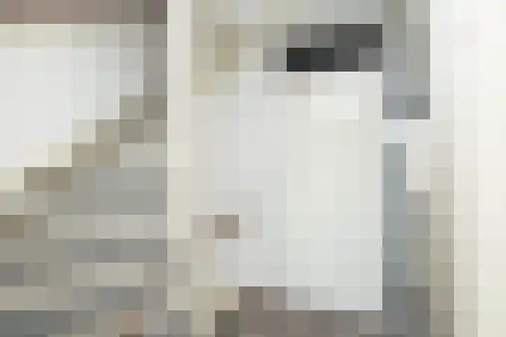 van Leeuwenhoekstraat 9 Hoogeveen thumbnail 30