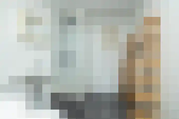 van Leeuwenhoekstraat 9 Hoogeveen thumbnail 31