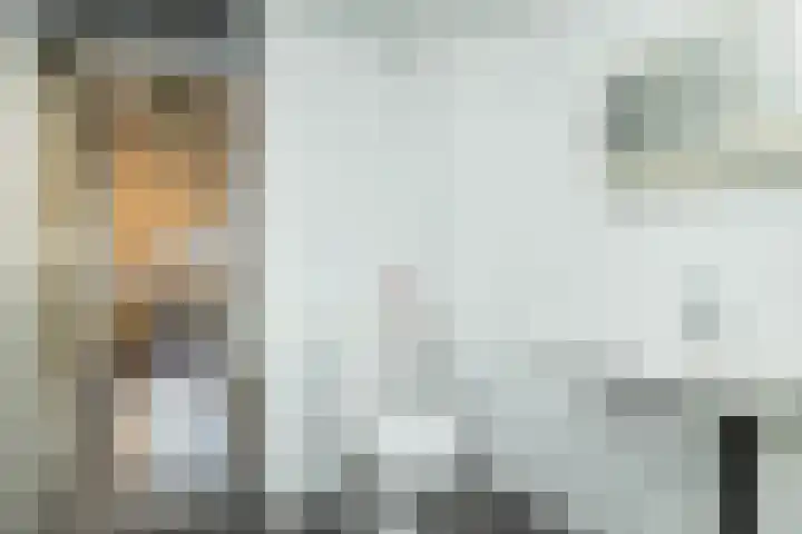 van Leeuwenhoekstraat 9 Hoogeveen thumbnail 32