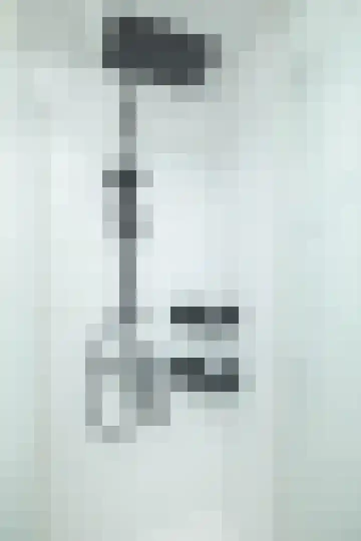 van Leeuwenhoekstraat 9 Hoogeveen thumbnail 33