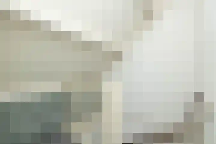 van Leeuwenhoekstraat 9 Hoogeveen thumbnail 34