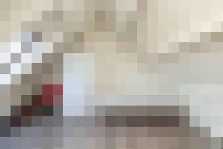 van Leeuwenhoekstraat 9 Hoogeveen thumbnail 35