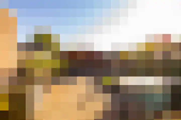 van Leeuwenhoekstraat 9 Hoogeveen thumbnail 39