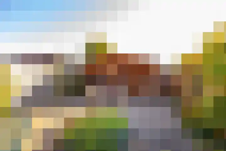 van Leeuwenhoekstraat 9 Hoogeveen thumbnail 41