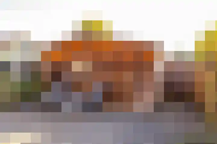van Leeuwenhoekstraat 9 Hoogeveen thumbnail 42