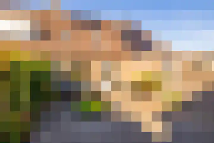van Leeuwenhoekstraat 9 Hoogeveen thumbnail 43