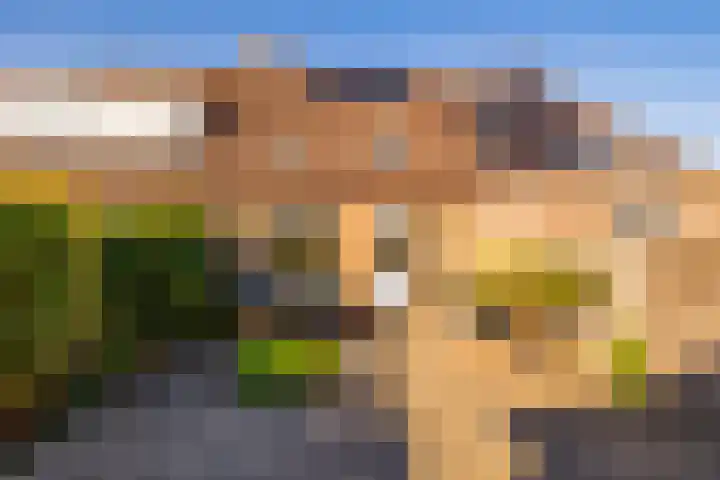 van Leeuwenhoekstraat 9 Hoogeveen thumbnail 44