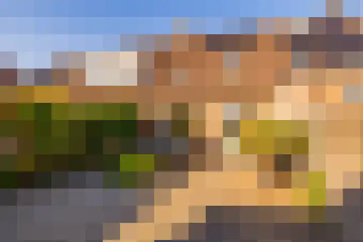 van Leeuwenhoekstraat 9 Hoogeveen thumbnail 45