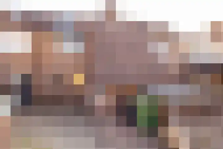 van Leeuwenhoekstraat 9 Hoogeveen thumbnail 50