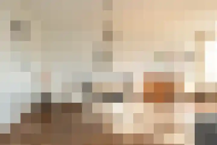 van Leeuwenhoekstraat 9 Hoogeveen thumbnail 8