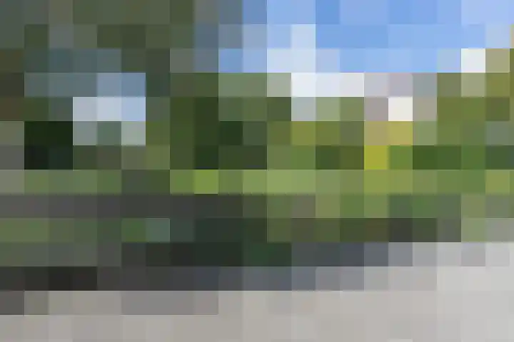 van Leeuwenhoekstraat 9 Kudelstaart thumbnail 41