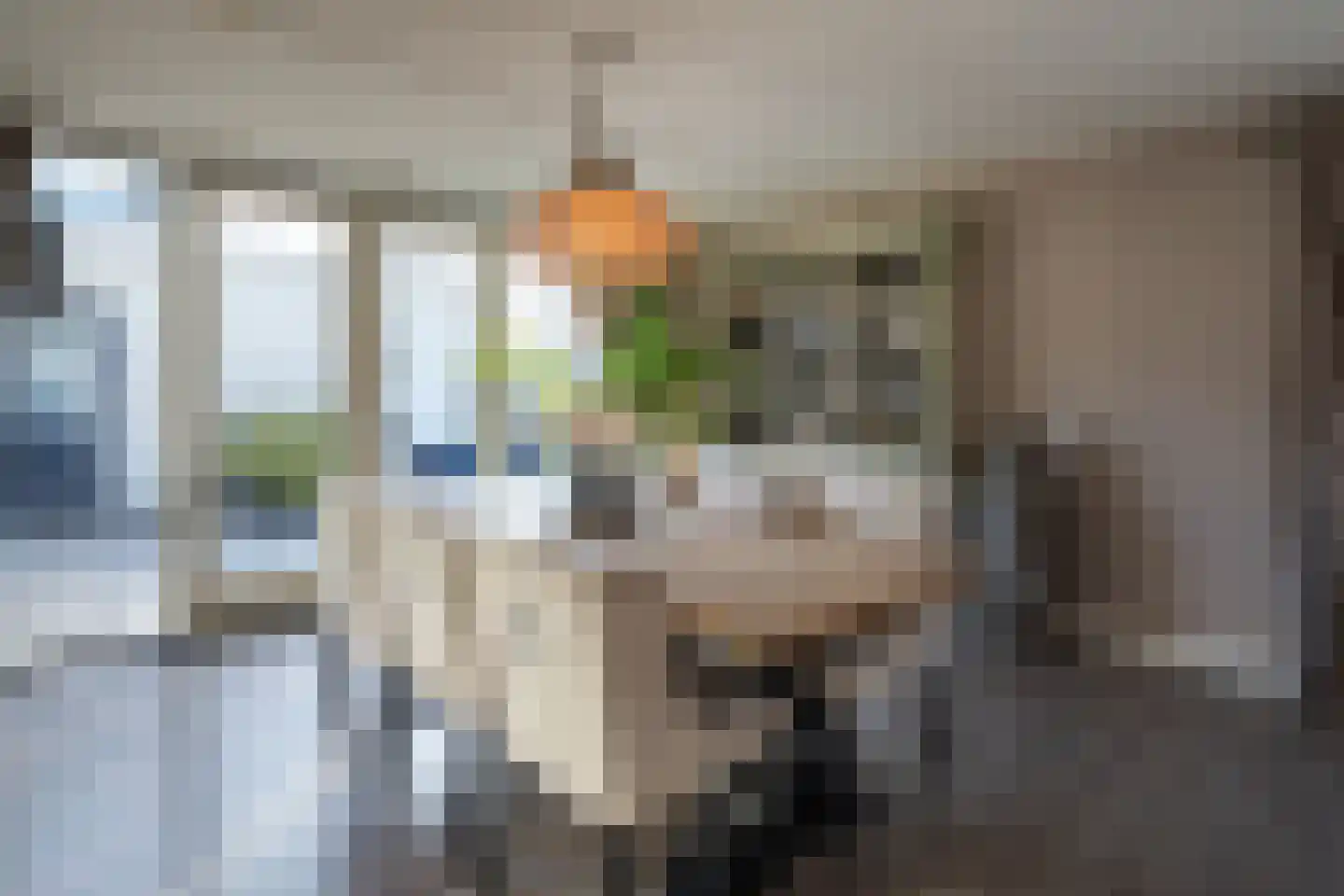 Van Leeuwenhoekstraat 98 Ridderkerk thumbnail 11