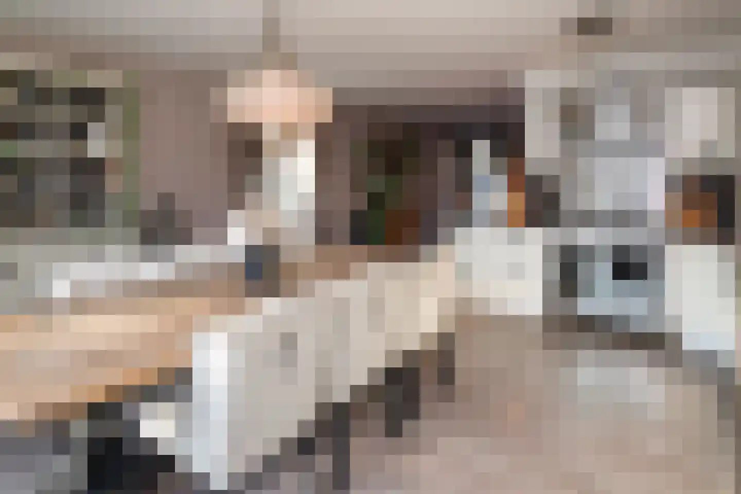 Van Leeuwenhoekstraat 98 Ridderkerk thumbnail 12