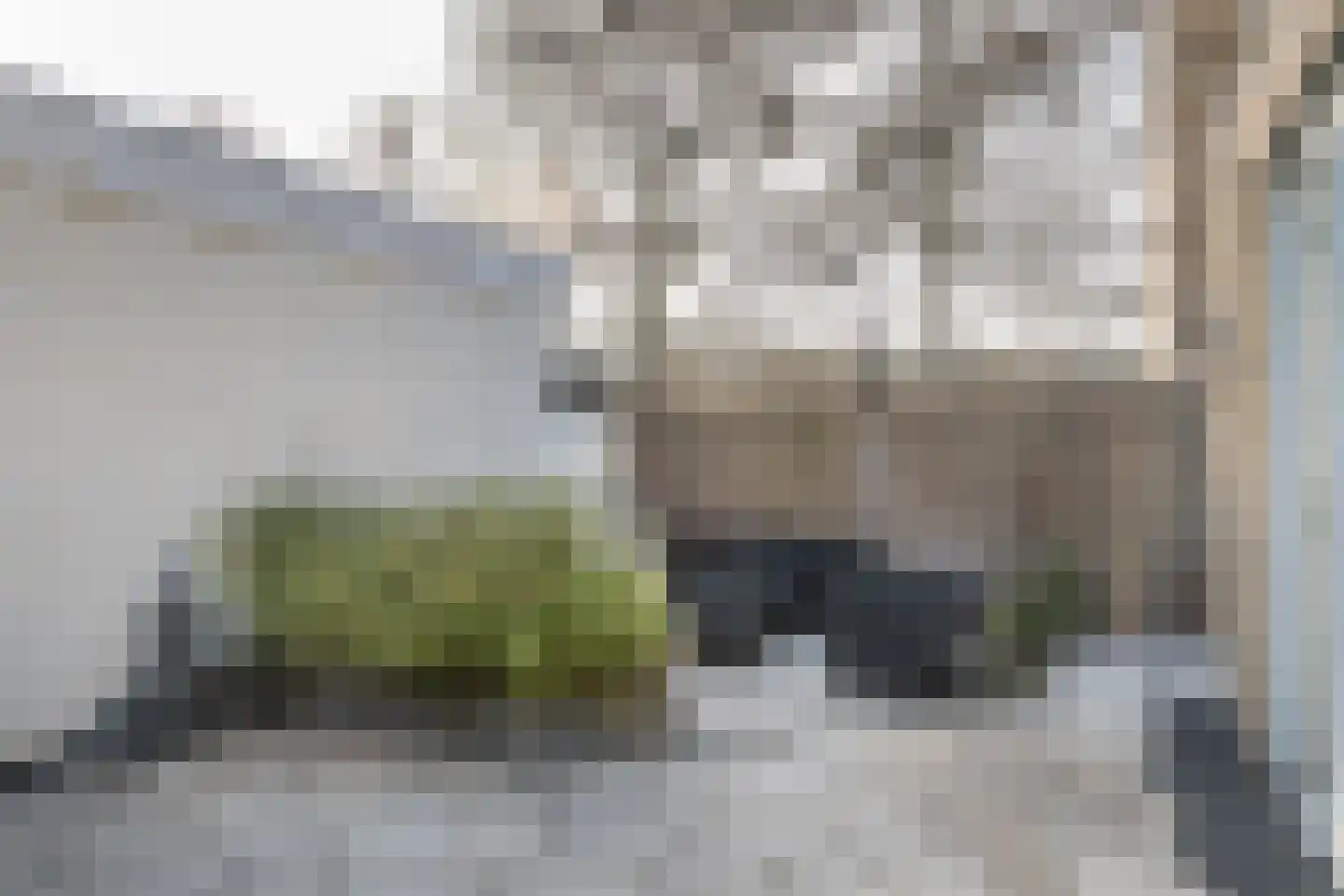Van Leeuwenhoekstraat 98 Ridderkerk thumbnail 15