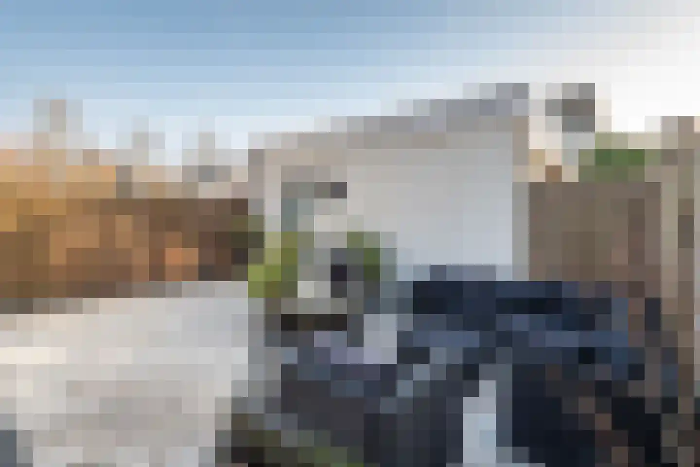 Van Leeuwenhoekstraat 98 Ridderkerk thumbnail 16