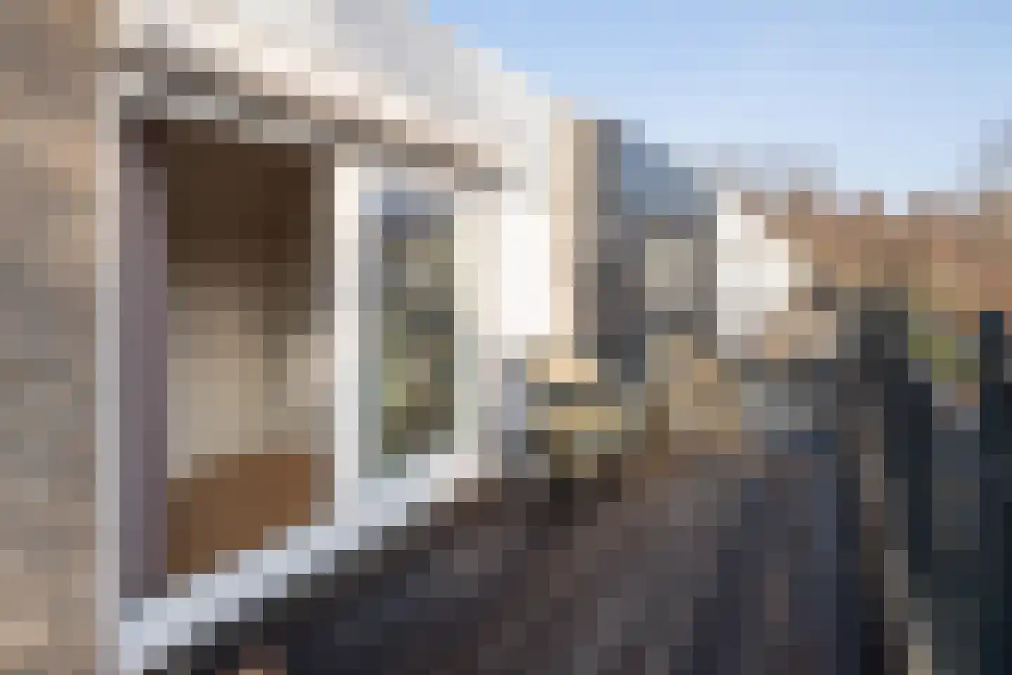 Van Leeuwenhoekstraat 98 Ridderkerk thumbnail 30