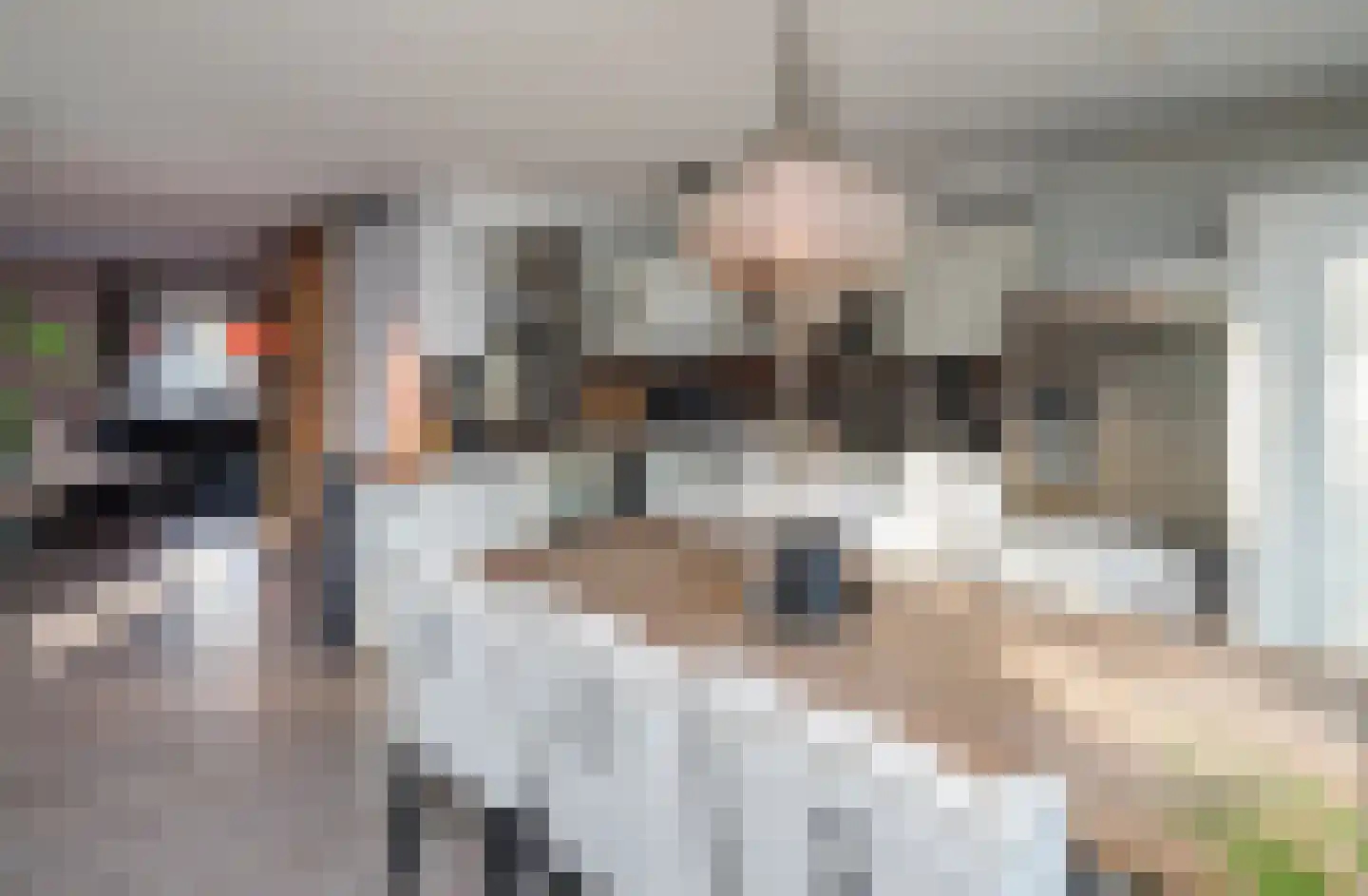 Van Leeuwenhoekstraat 98 Ridderkerk thumbnail 4