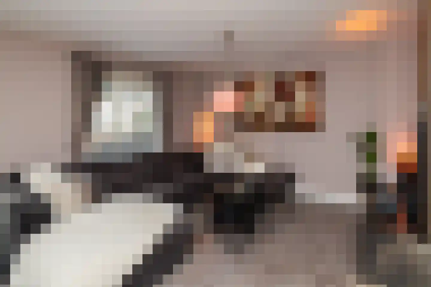 Van Leeuwenhoekstraat 98 Ridderkerk thumbnail 6