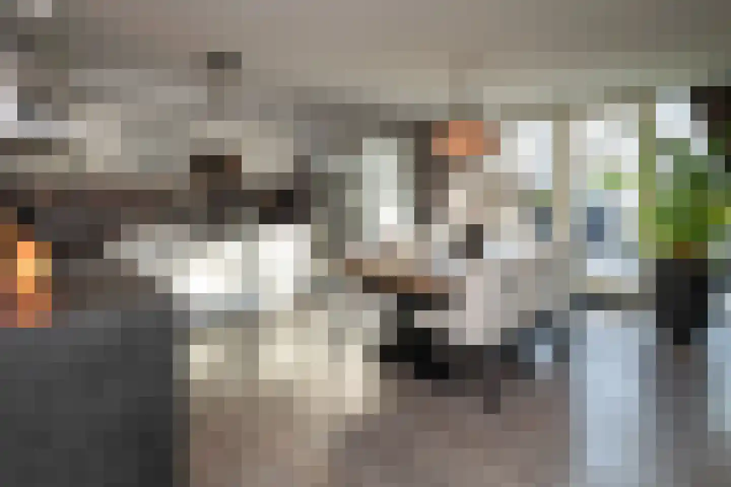 Van Leeuwenhoekstraat 98 Ridderkerk thumbnail 7